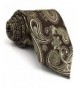 Shlax Chocolate Paisley Neckties Design