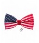 Bow Tie House flag July