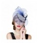 Lawliet Sinamay Netting Fascinator Cocktail
