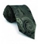 Shlax Wing Paisley Neckties Green