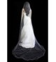 Bridal Cathedral Length Scattered Rhinestone