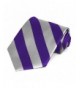 Dark Purple Silver Striped Tie