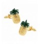 Pineapple Cufflinks Trader Birthday Present