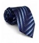 Shlax Patterned Neckties Business Jacquard