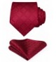 HISDERN Handkerchief Necktie Pocket Square