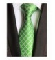 Spring Grass Gingham Modern Neckties