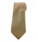 Necktie Natural Elegant Paisley Design