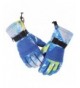 Gloves Azornic Screen Waterproof Winter