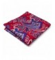 Shlax Wing Pattern Handkerchief Hanky