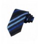 Striped Black Jacquard Woven Necktie