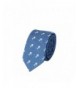 SunnyWorld Blue Cotton Skinny Necktie