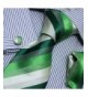 Stripes Cufflinks Handkerchiefs Presentation PH1006