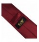 Shlax Wedding Neckties Classic Fashion
