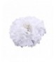 Raylans Flower Hairpin Wedding Headwear
