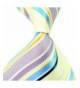 Allbebe Striped Multicoloured Business Neckties