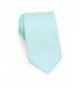 Bows N Ties Necktie Turquoise Patterned Microfiber