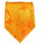 10 Ties Orange Paisley Necktie
