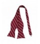 Fashion Men's Bow Ties for Sale