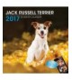 LittleGifts Jack Russell 2017 Calendar