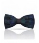 Lanzonia Feather Blue Mens Bow