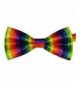 Singleluci Multicolor Casual Rainbow Necktie