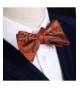 Discount Men's Bow Ties Clearance Sale