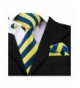 Barry Wang Ties Fashion Yellow Necktie