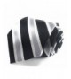 Black Silver White Striped Necktie