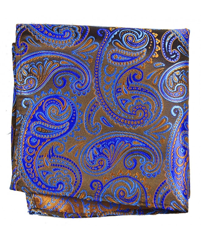 Blue and Brown Paisley Silk Necktie Set - C3120XAMLK9