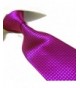 Extra Fashion Microfibre Purple Necktie