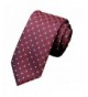 Floralby Necktie Business Neckties Accessory