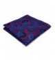 Shlax Extra Floral Purple Neckties
