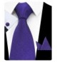 GUSLESON Classic Purple Necktie 0727 05