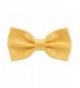 Classic Pre Tied Bow Tie House
