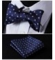 New Trendy Men's Tie Sets Online