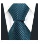 Shlax Wing Necktie Solid Green