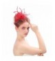 Fascinator Feather Bowknot Cocktail Headwear